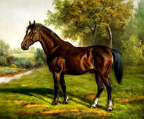 Высокий резвый конь