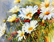 Ромашки в поле