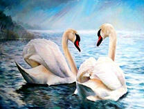 Белые лебеди на тихом озере