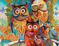 Цветные большеглазые совы