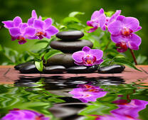 Камни и орхидея