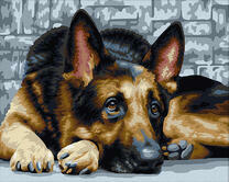 Грустный пёс