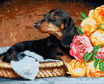 Собачонка и букет цветов