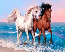 Пара лошадей на берегу тихого моря