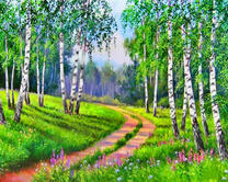 Березовая роща и дорога сквозь нее