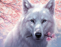 Белый волк под сакурой