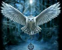 Белый филин с амулетом