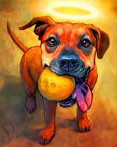 Верный друг с мячиков в зубах