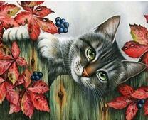 Кошка в ягоде