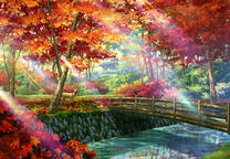 Солнечный свет