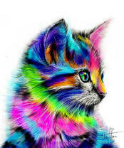 Котёнок в цветной краске