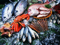 Морской улов