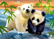 Дружба белого медведя и панды