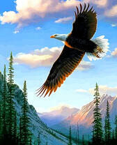 Горный орел