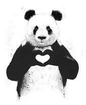 Медведь-панда в снегу