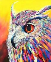 Радужный портрет совы