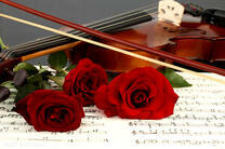 Три красных розы и скрипка
