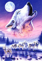 Стая волков зимой в полнолуние