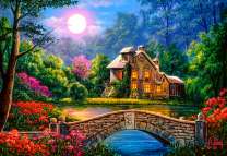 Домик под лунным светом