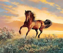 Конь на закате дня