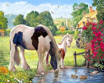 Шотландские лошади на природе