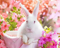 Белый кролик в цветах