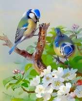 Птицы на цветущих деревьях