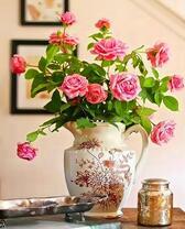 Букет розовых роз в кувшине