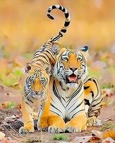 Тигры на природе