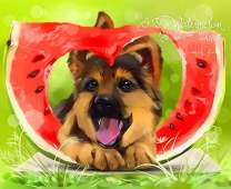 Щенок с арбузом