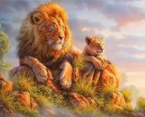 Львиный отдых