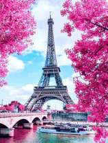 Эйфелева башня на фоне цветущих деревьев