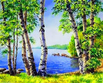 Вид на озеро сквозь березовую рощу