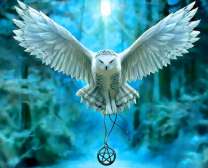 Белая сова с талисманом