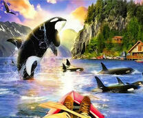 Косатки в бухте