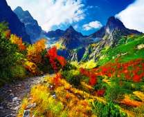 Одинокая тропинка в горах