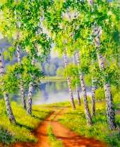 Спуск к воде по березовой роще