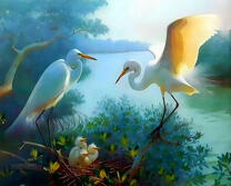 Пара аистов и их птенцы