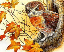 Филин среди осенней листвы