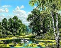 Лебеди на небольшом пруду