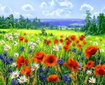 Полевые цветы и красивый пейзаж