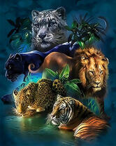 Хищные кошки