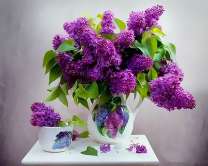 Сочная сирень на столе
