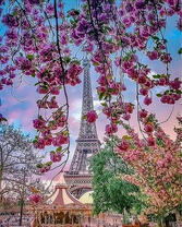 Эйфелева башня сквозь цветы магнолии