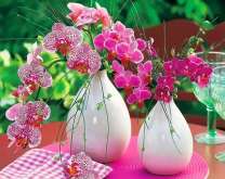 Орхидеи в белых вазах