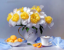 Букет нарциссов и абрикосы