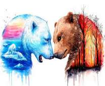 Столкновение двух медведей