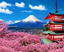 Фудзияма на фоне цветущей сакуры