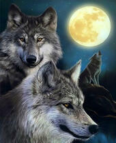 Ночь и волки