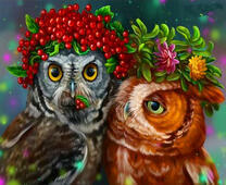 Совы в веночках